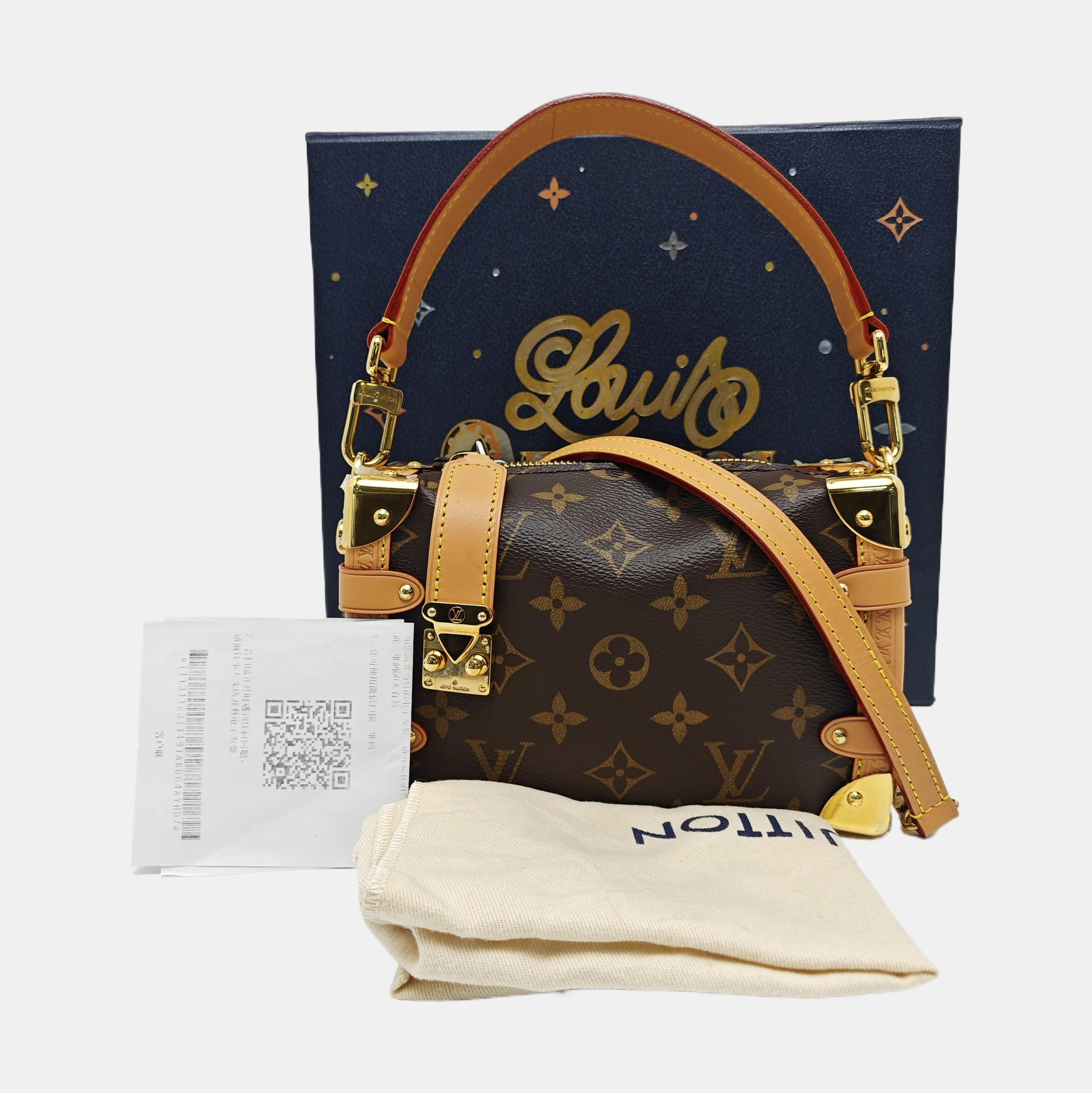 SIDE TRUNK PM Monogram Coated Canvas Brown