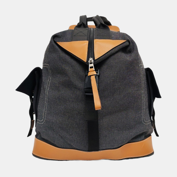 Eye/loewe/nature Canvas Gray
