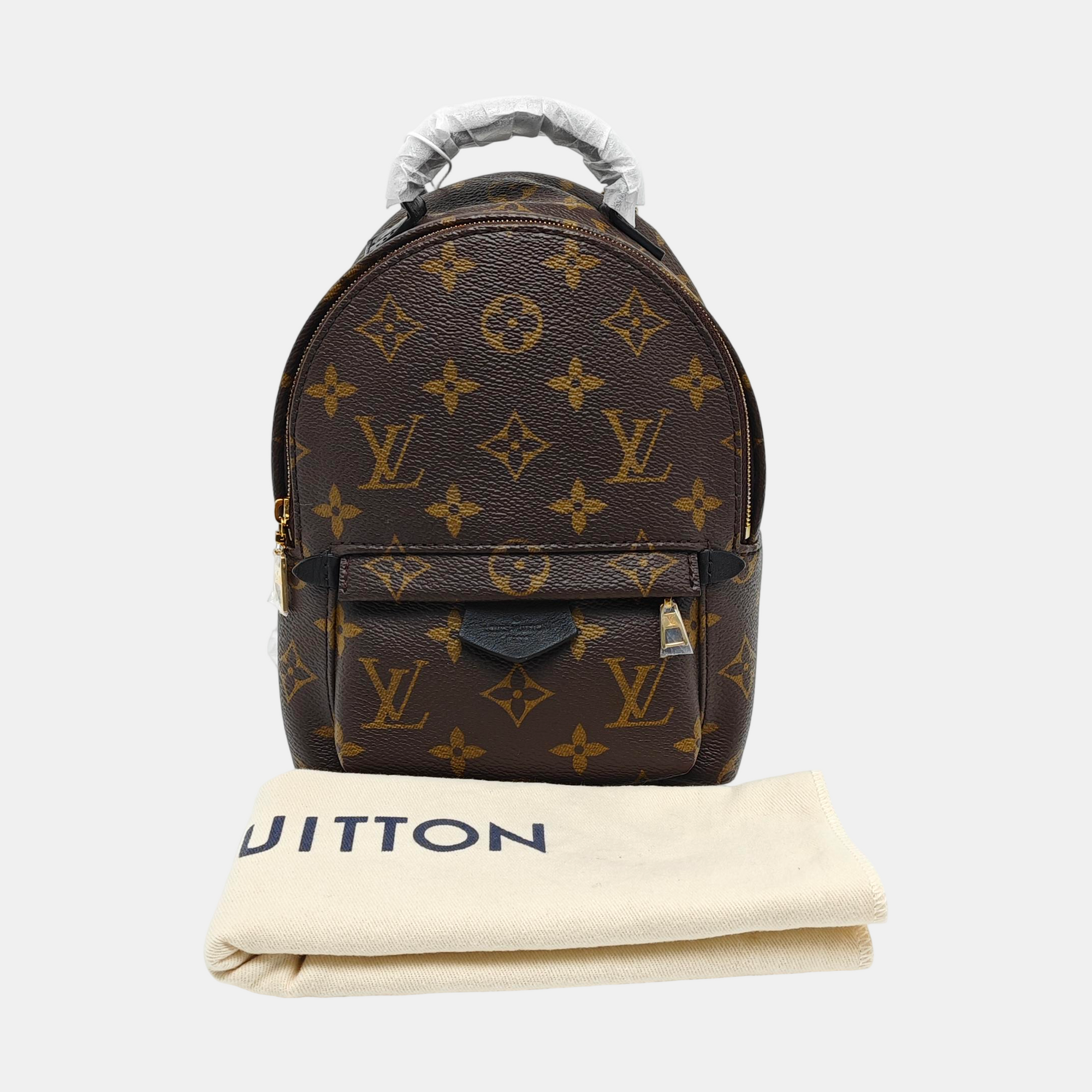 PALM SPRINGS Mini Monogram Coated Canvas Brown