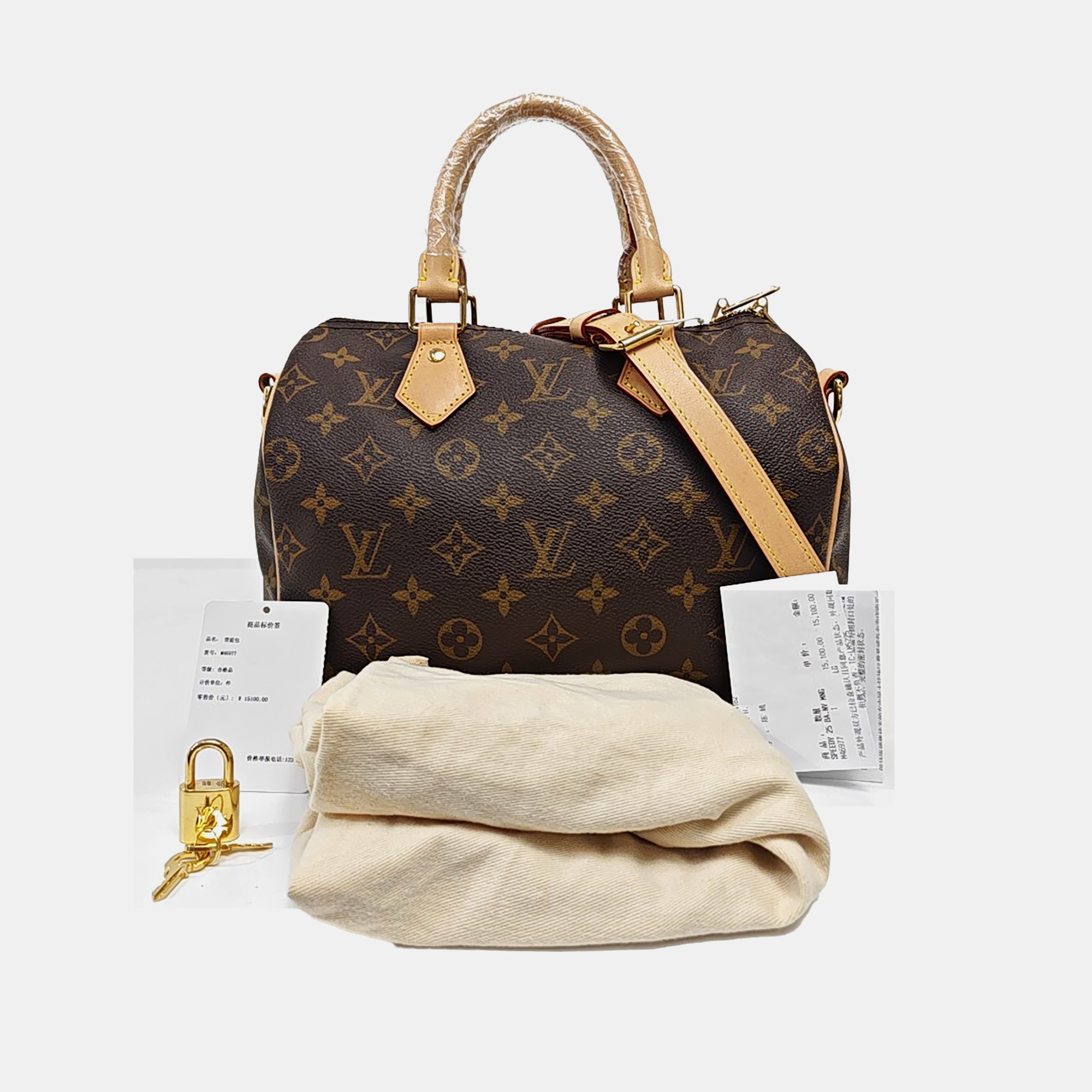 SPEEDY 25 Monogram Coated Canvas Brown