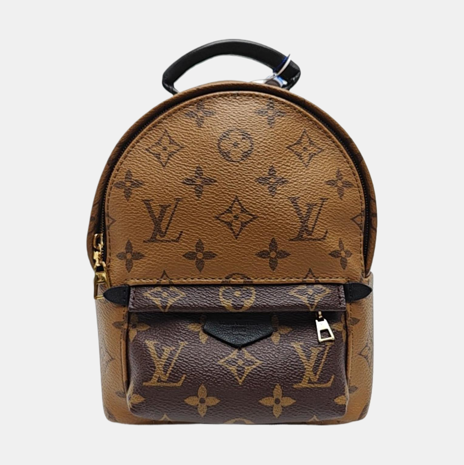 PALM SPRINGS Mini Monogram Coated Canvas Brown