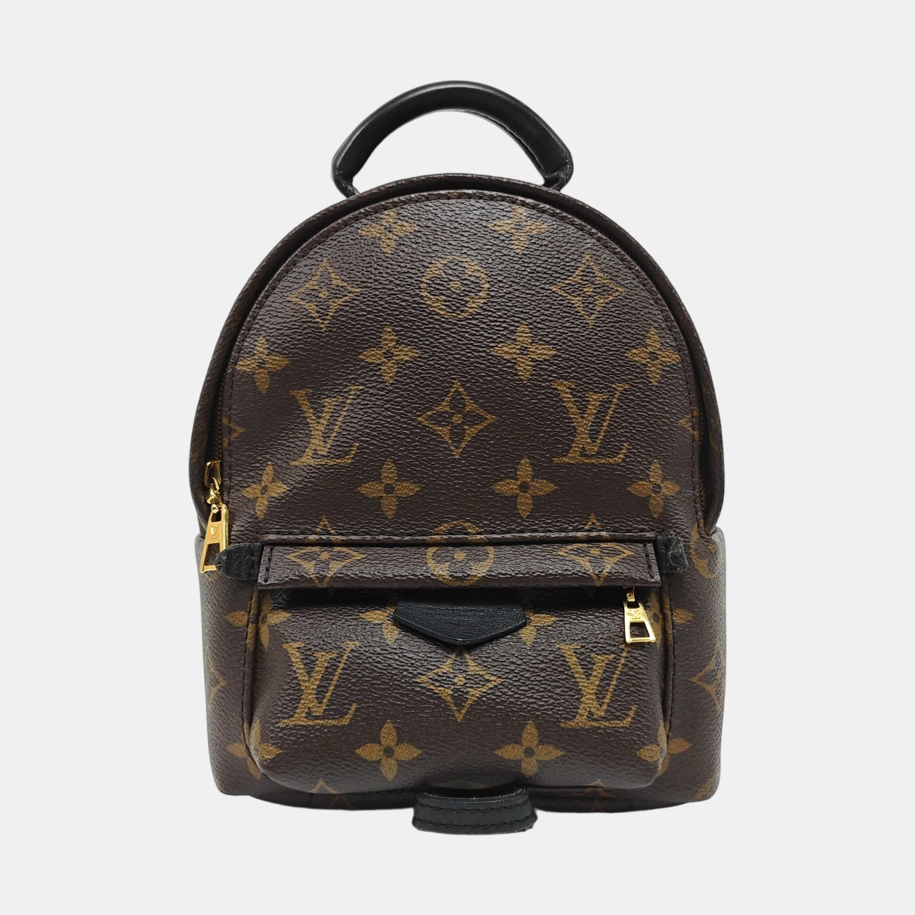PALM SPRINGS Mini Monogram Coated Canvas Brown