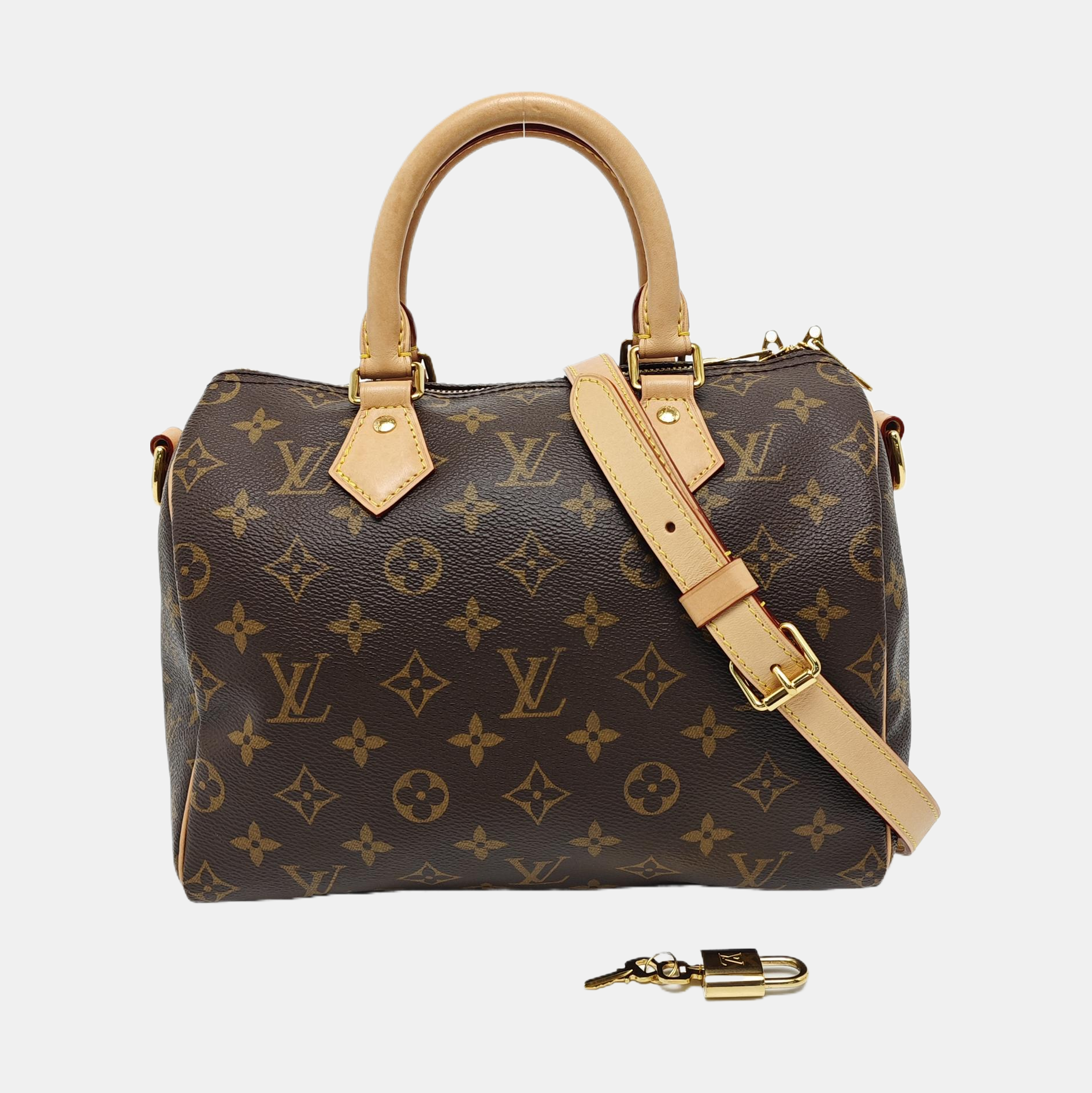 SPEEDY 25 Monogram Coated Canvas Brown