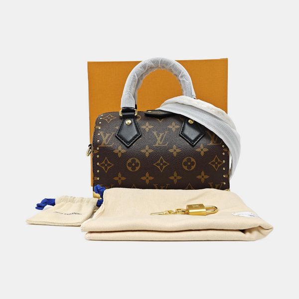 SPEEDY TRUNK 20 Monogram Coated Canvas Brown