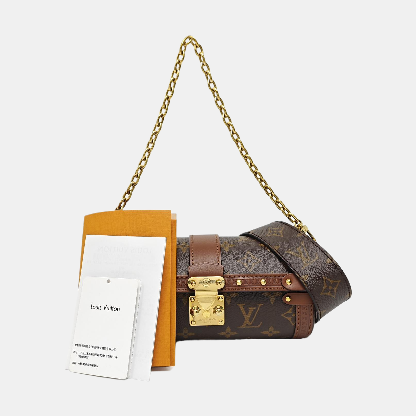 PAPILLON 19 Monogram Coated Canvas Brown
