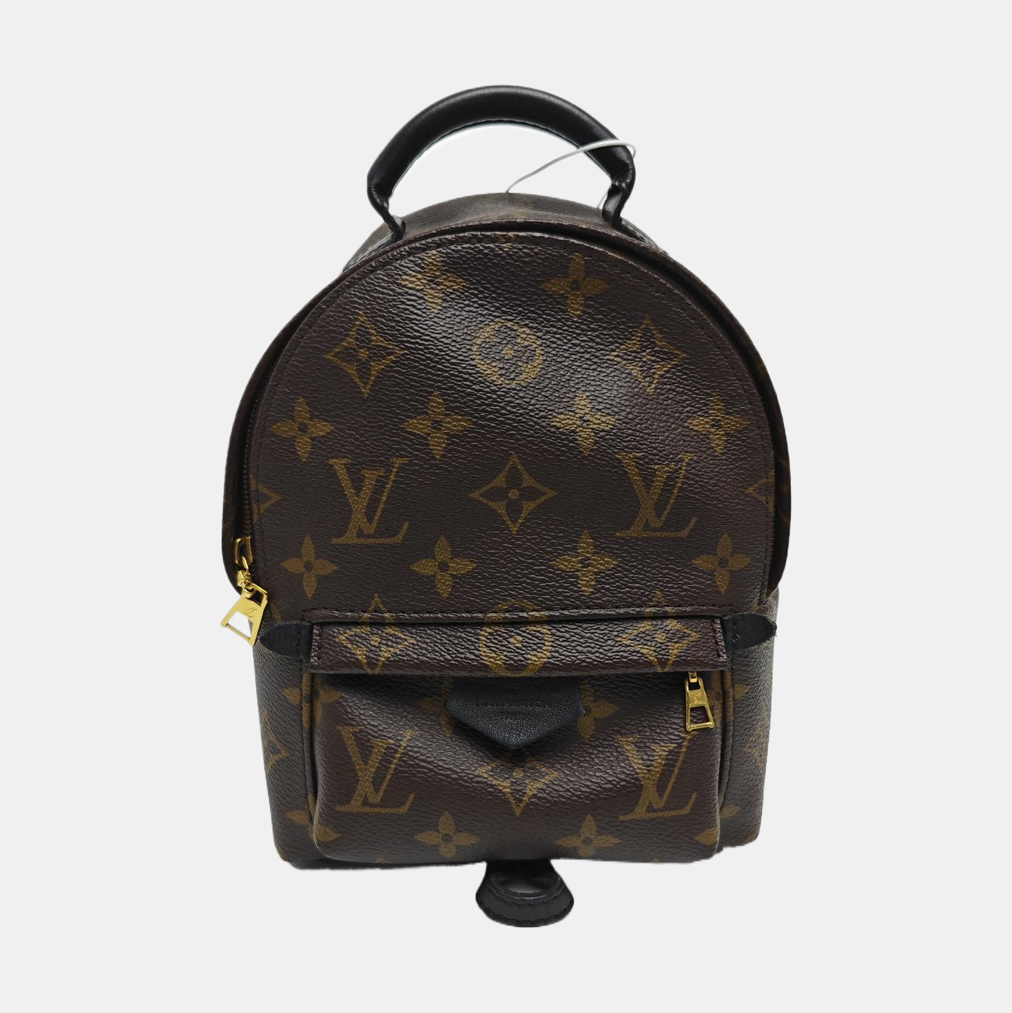 PALM SPRINGS Mini Monogram Coated Canvas Brown