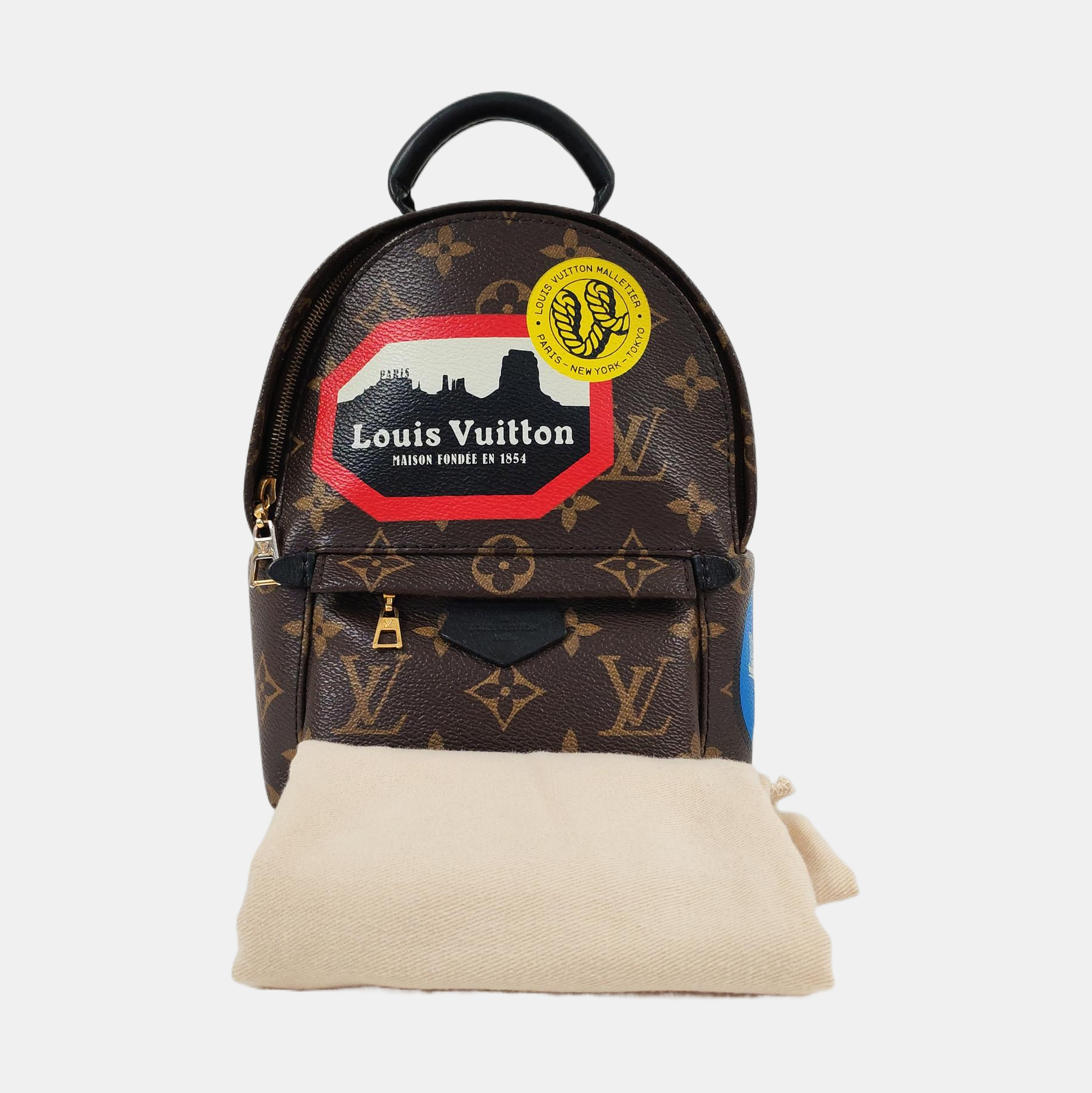 PALM SPRINGS Mini Monogram Coated Canvas Brown