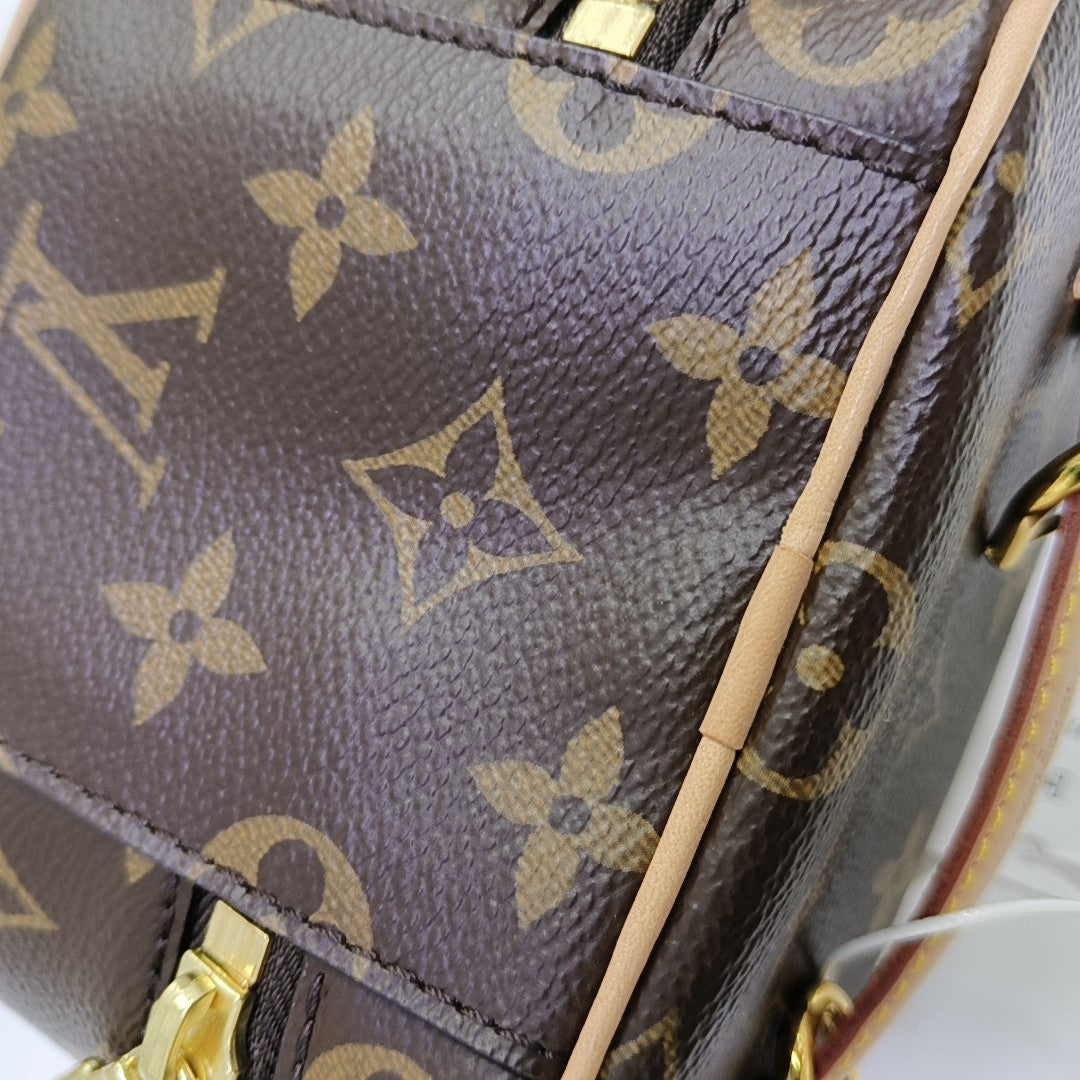 NICE Super Mini Monogram Coated Canvas Brown