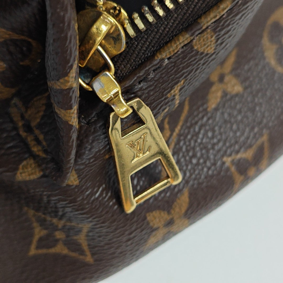 BUMBAG Monogram Coated Canvas Brown