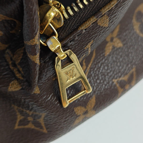 BUMBAG Monogram Coated Canvas Brown