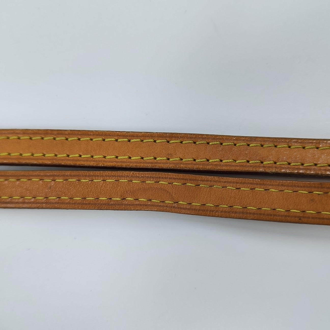 EVA Monogram Coated Canvas Brown