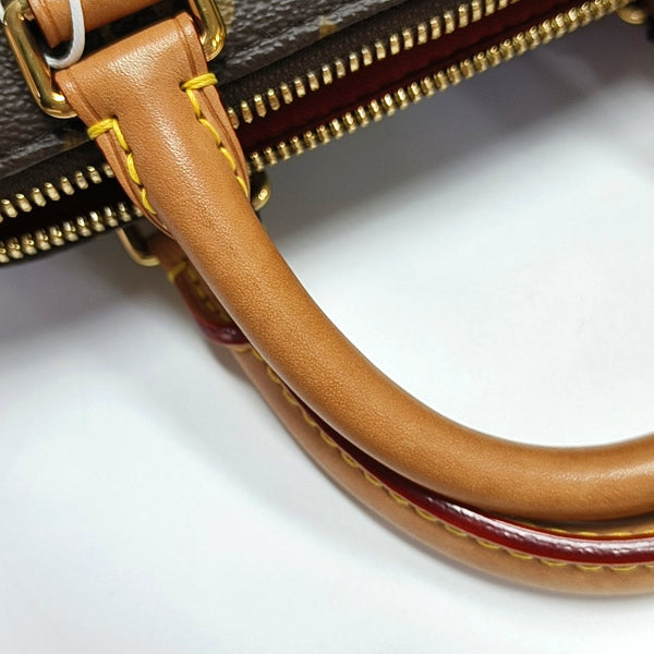 SPEEDY 20 Monogram Coated Canvas Brown