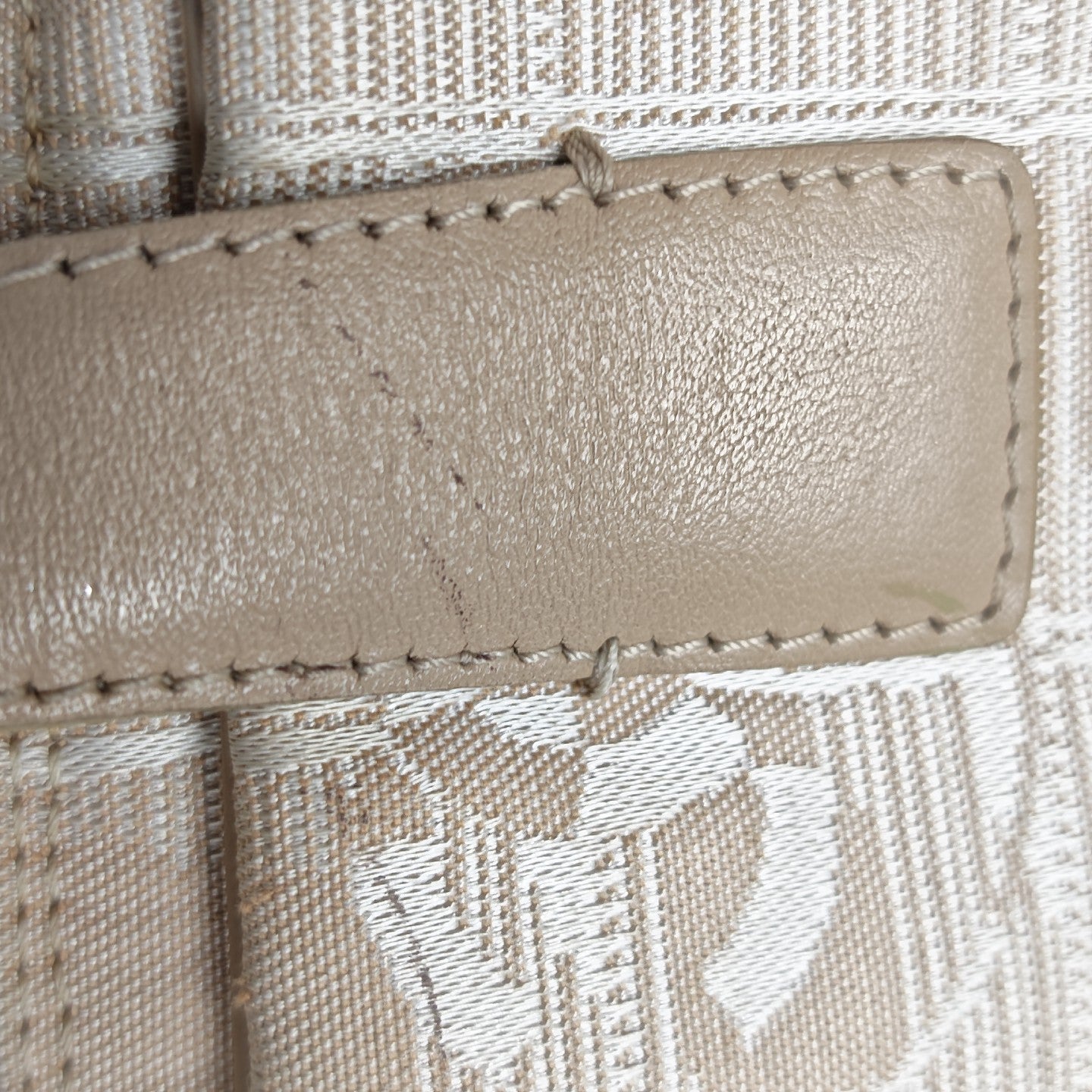 TRAVEL LINE Canvas Beige