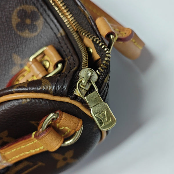 SPEEDY Nano Monogram Coated Canvas Brown
