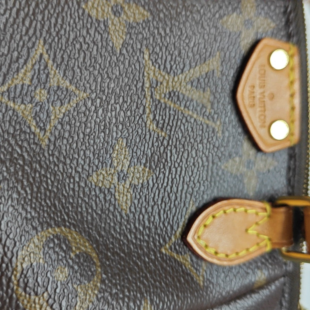 TURENNE Nano Monogram Coated Canvas Brown