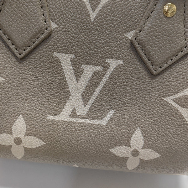 SPEEDY 20 Monogram Calfskin Gray
