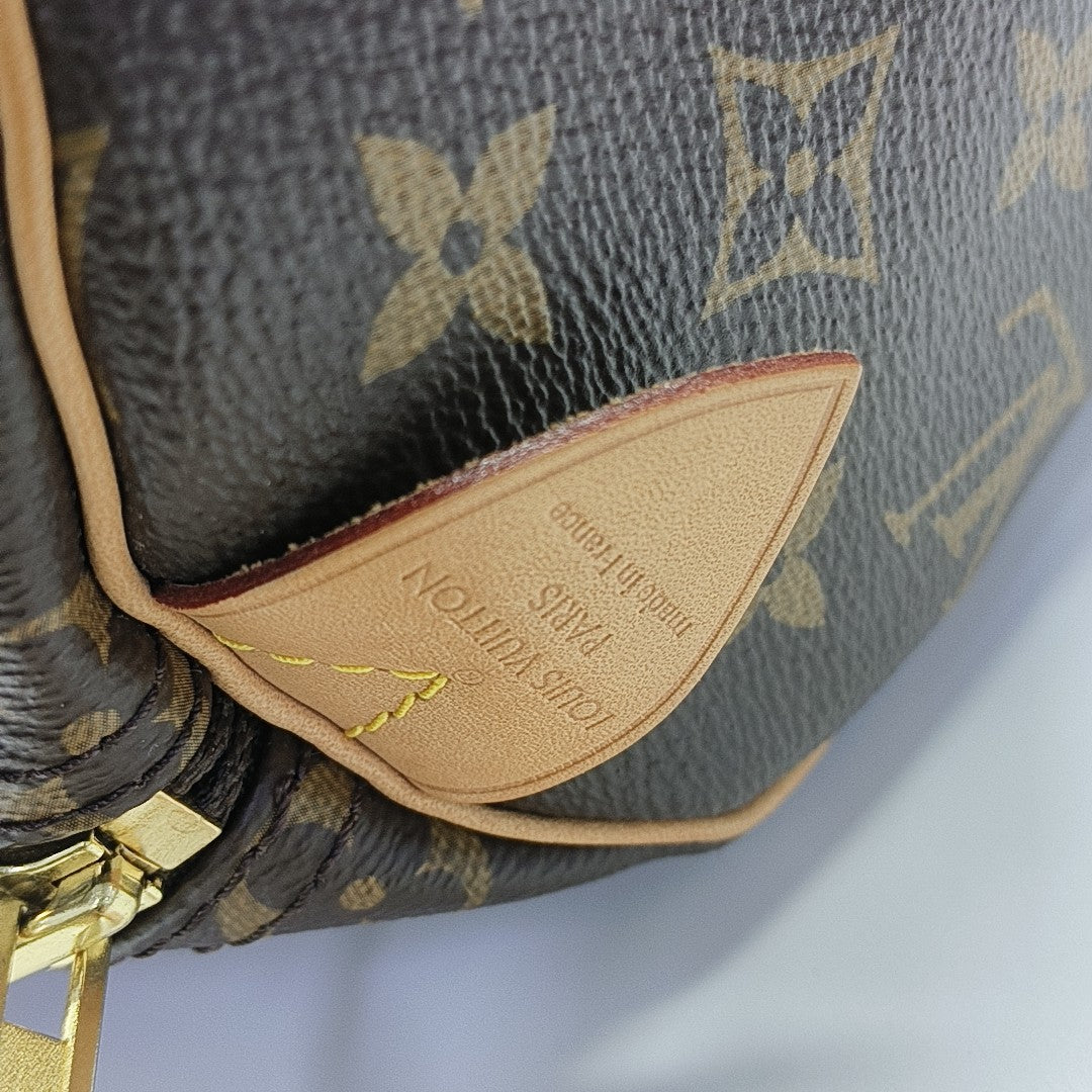 SPEEDY 25 Monogram Coated Canvas Brown