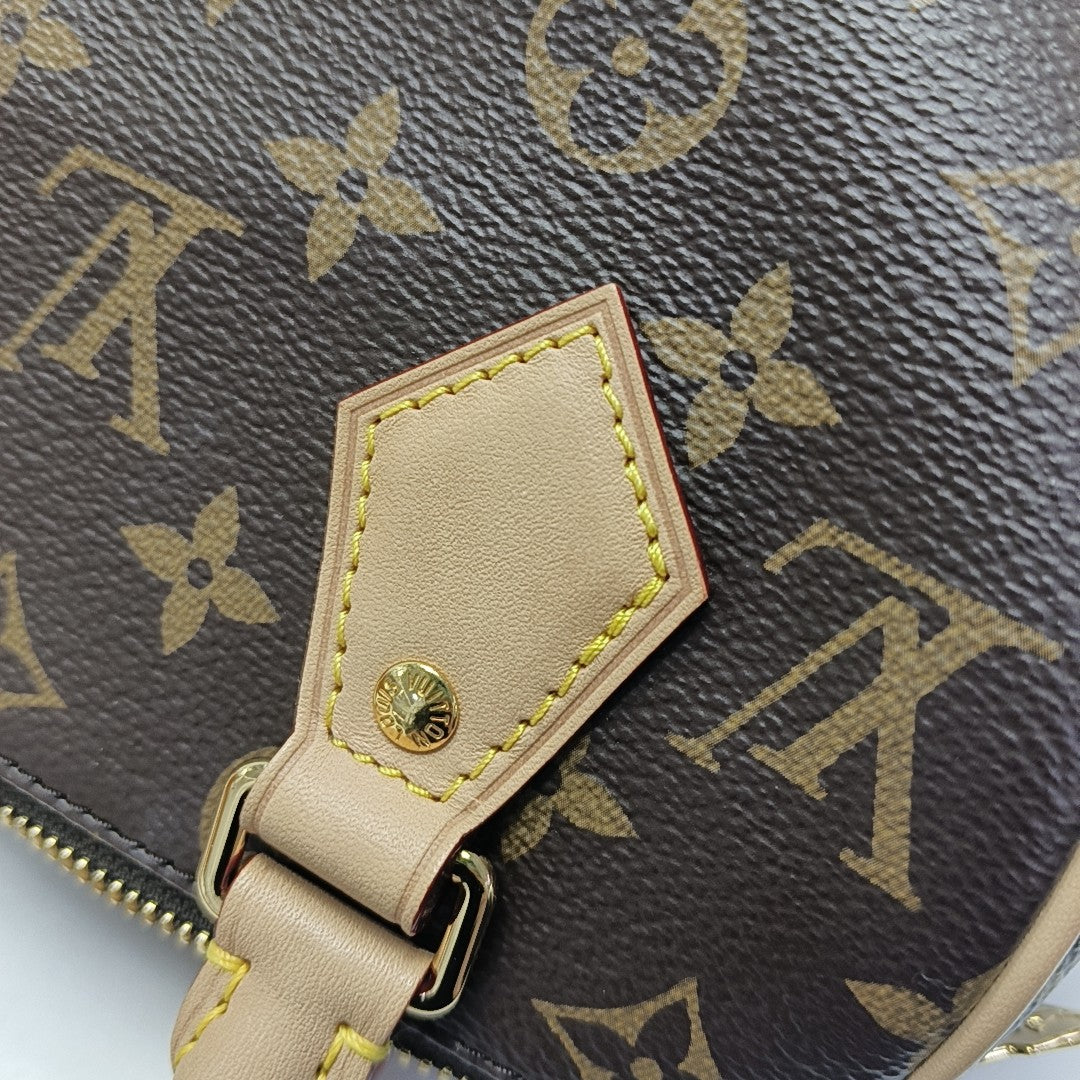 SPEEDY 20 Monogram Coated Canvas Brown