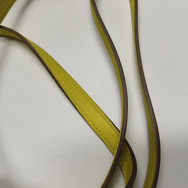 1 21 Evercolor Yellow