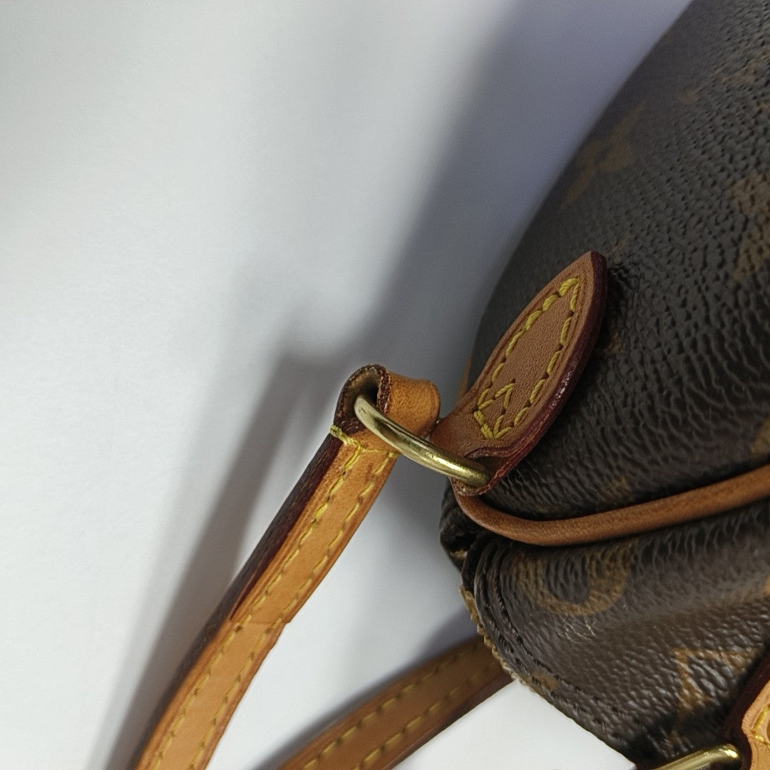 SPEEDY Nano Monogram Coated Canvas Brown