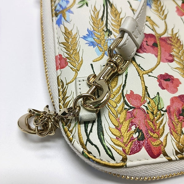 Authenticated pre-owned  Lady Dior Lambskin Multicolor - Shoulder Bag at Looply