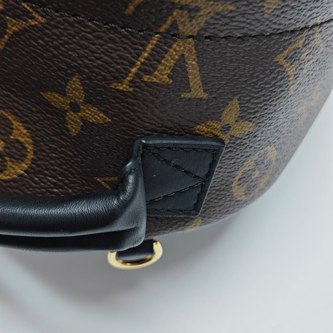 PALM SPRINGS Mini Monogram Coated Canvas Brown