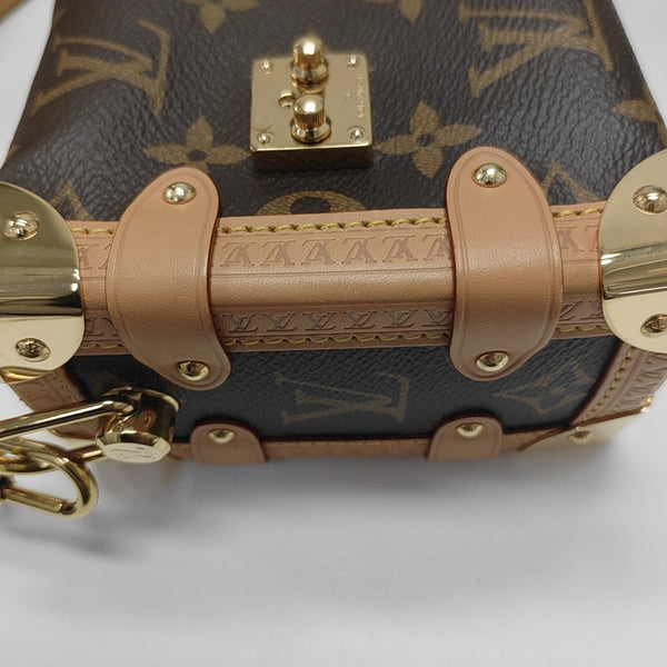 SIDE TRUNK PM Monogram Coated Canvas Brown