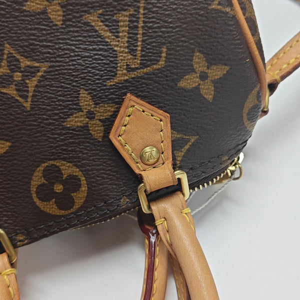 SPEEDY Nano Monogram Coated Canvas Brown