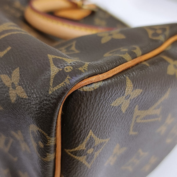 SPEEDY 25 Monogram Coated Canvas Brown