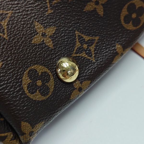 CARRYALL PM Monogram Coated Canvas Brown
