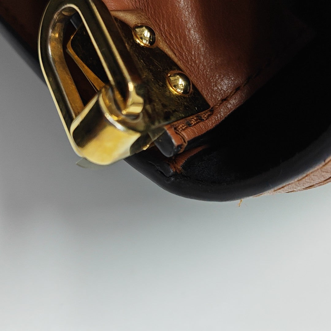 DAUPHINE MM Monogram Coated Canvas Brown