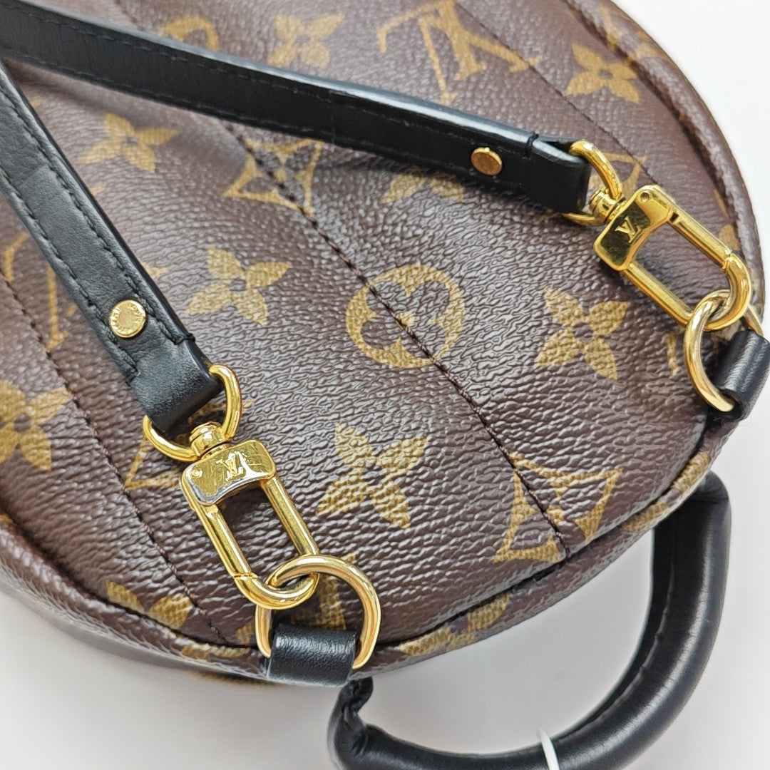 PALM SPRINGS Mini Monogram Coated Canvas Brown
