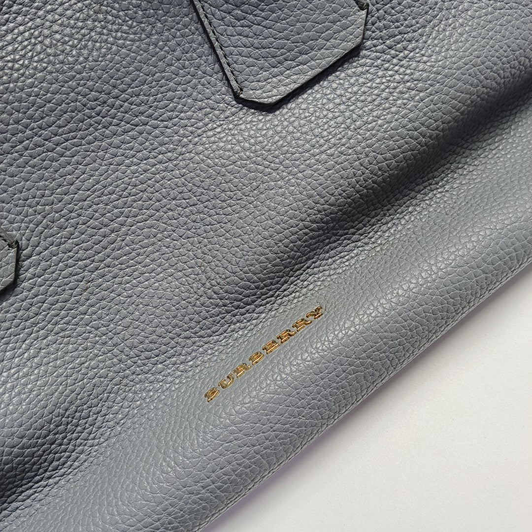 Baynard Calfskin Blue