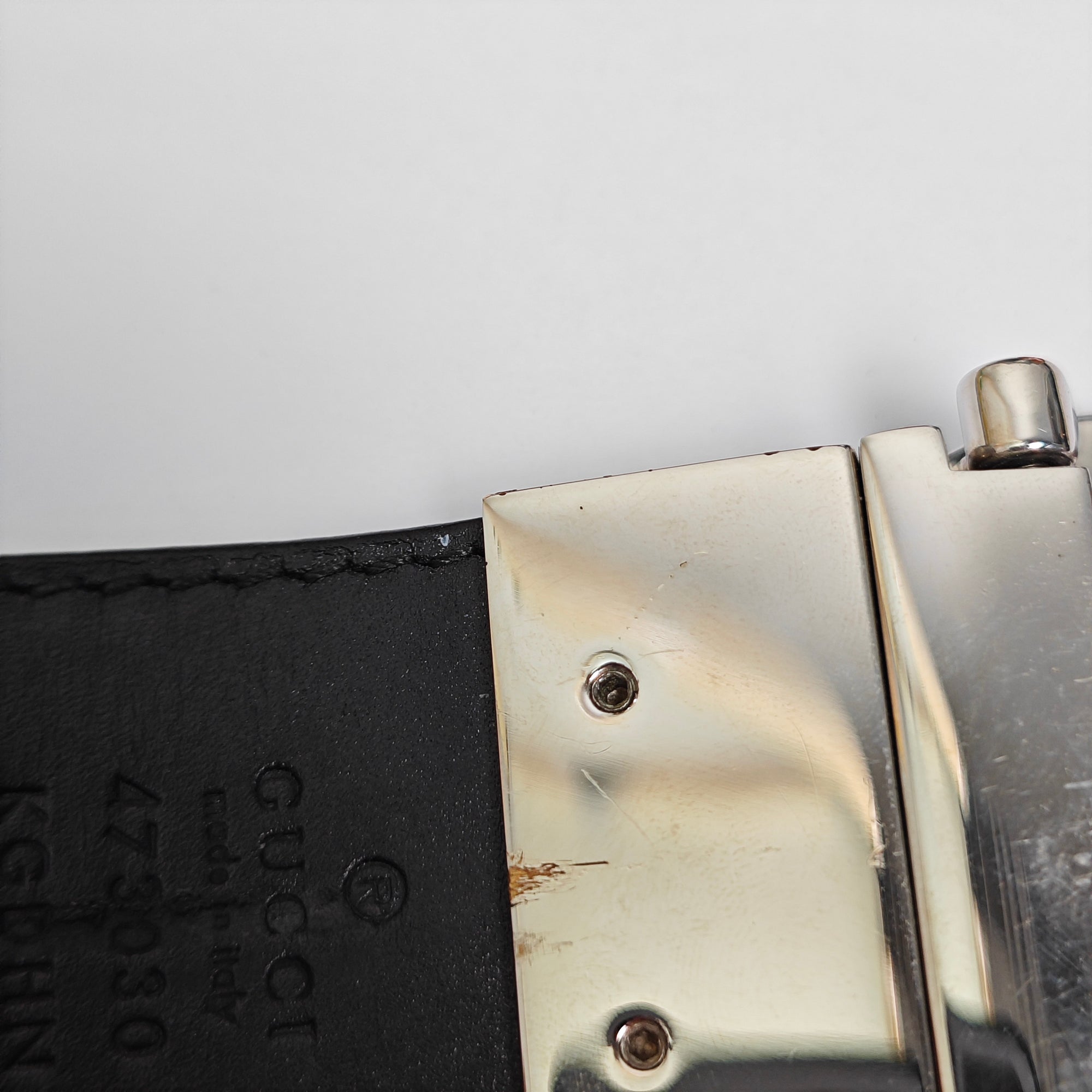 Coated Canvas Belt Beige