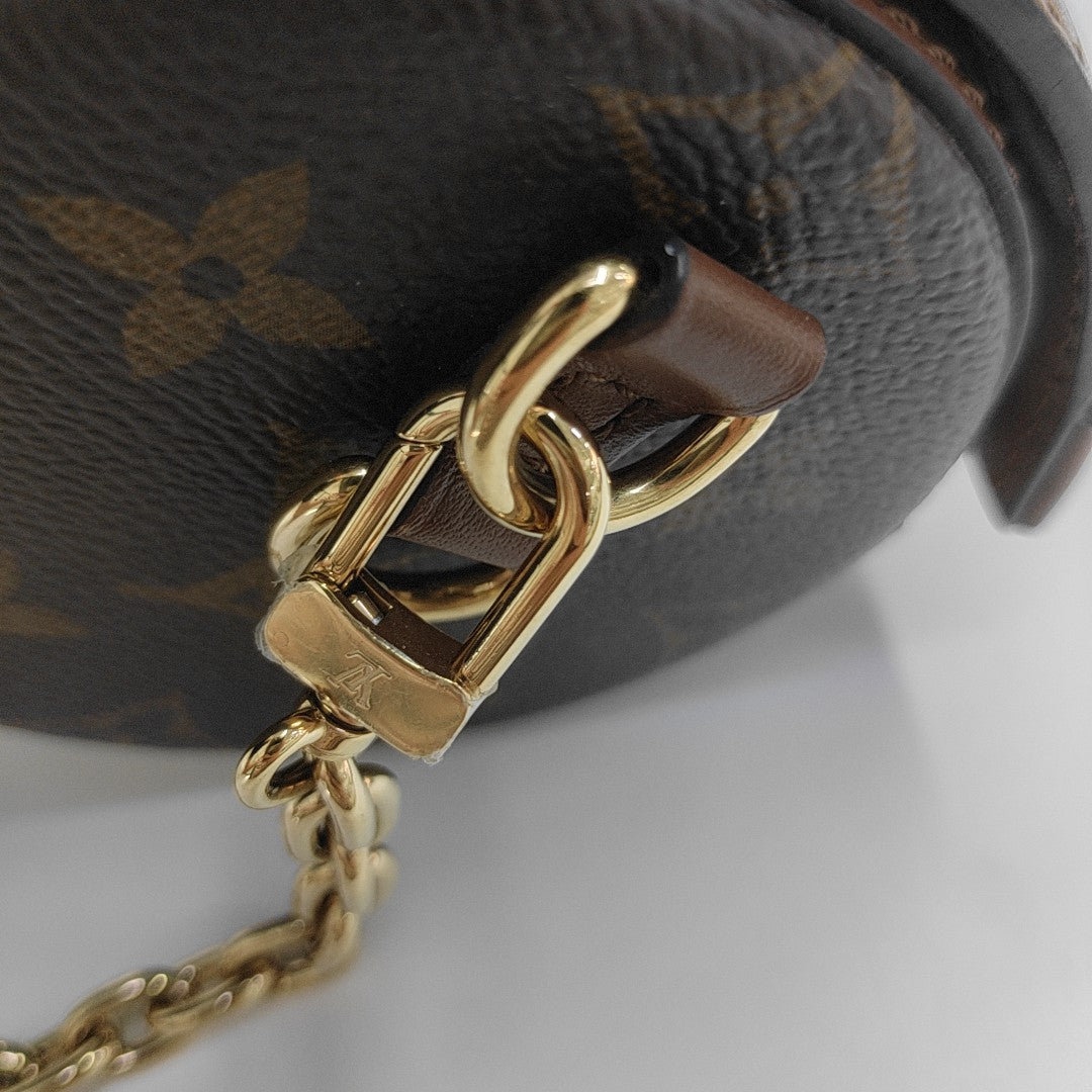 PAPILLON 19 Monogram Coated Canvas Brown