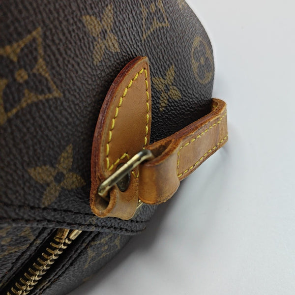 BLOIS PM Monogram Coated Canvas Brown