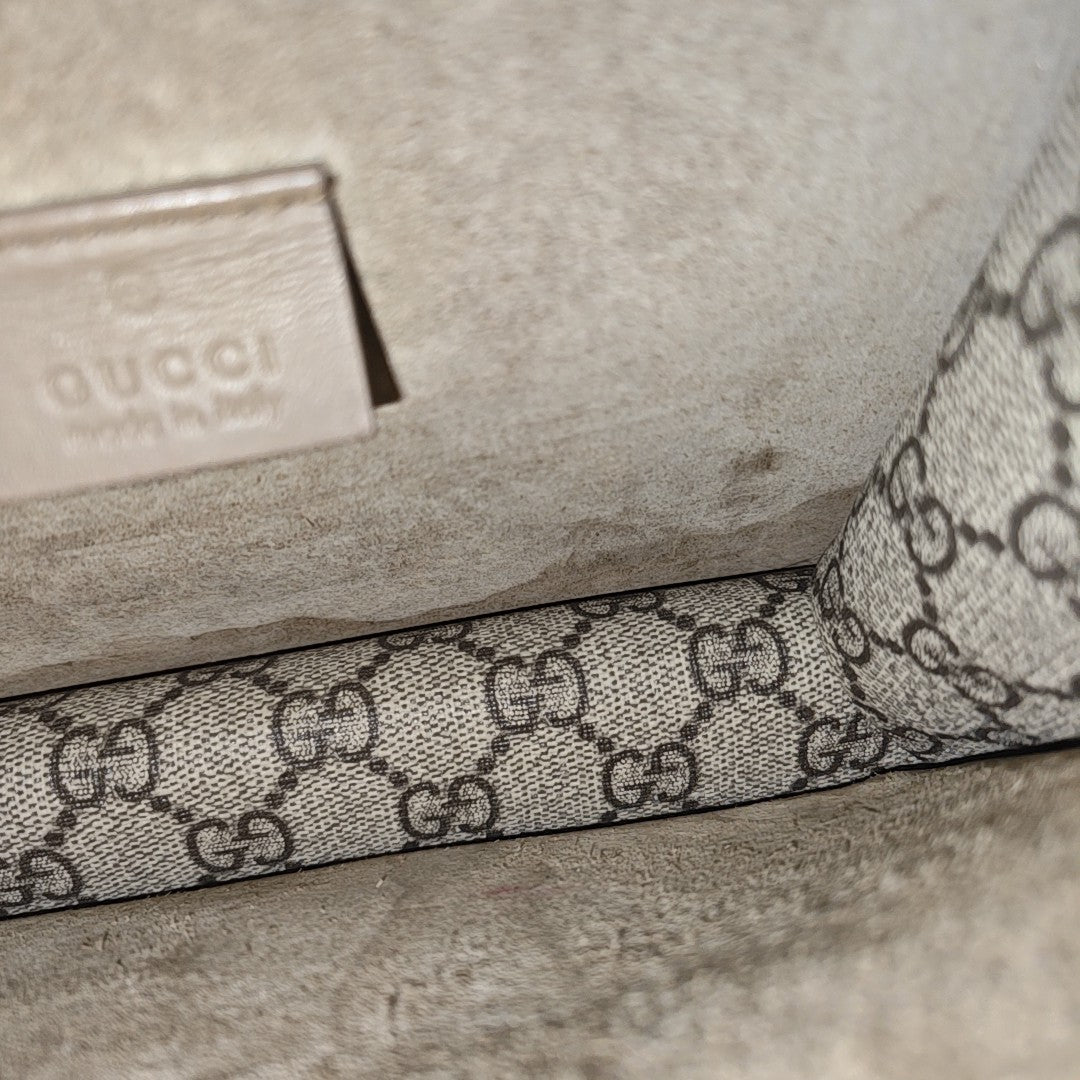 Dionysus Mini Monogram Coated Canvas Beige