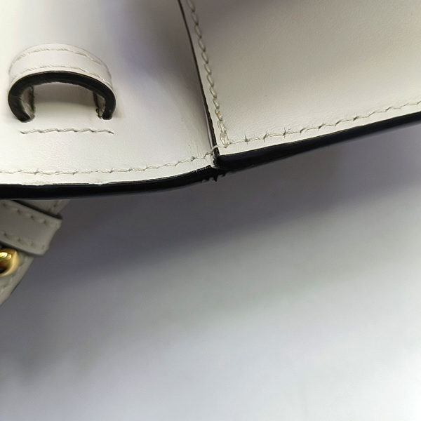 Sylvie Mini Calfskin White