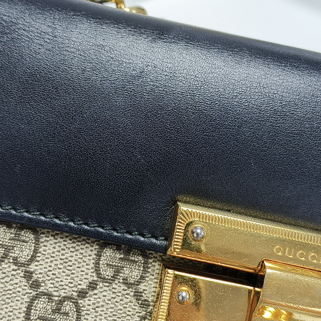 Padlock Small Monogram Coated Canvas Multicolor