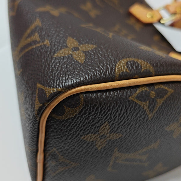 SPEEDY Nano Monogram Coated Canvas Brown
