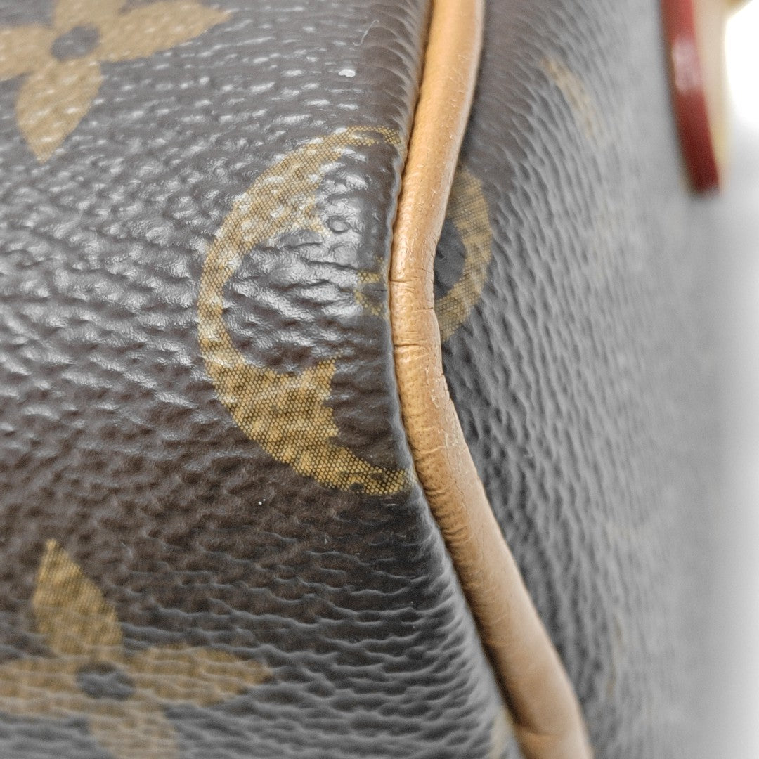 SPEEDY Nano Monogram Coated Canvas Brown