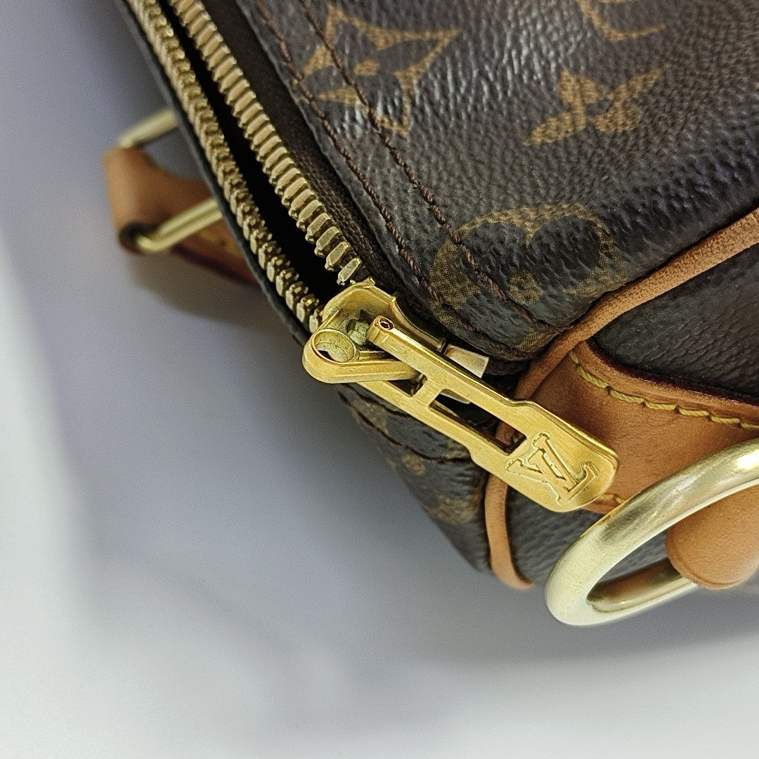 SPEEDY 25 Monogram Coated Canvas Brown