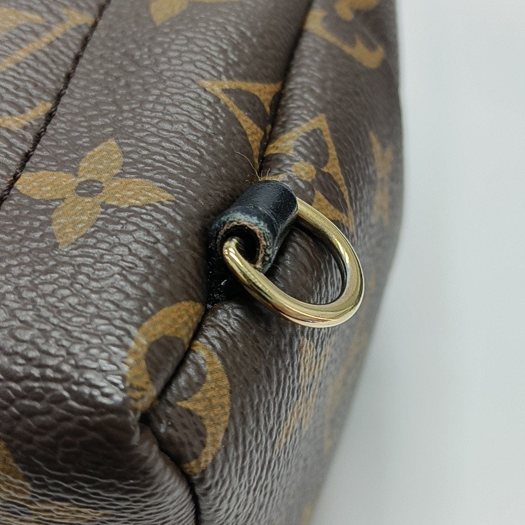 PALM SPRINGS Mini Monogram Coated Canvas Brown