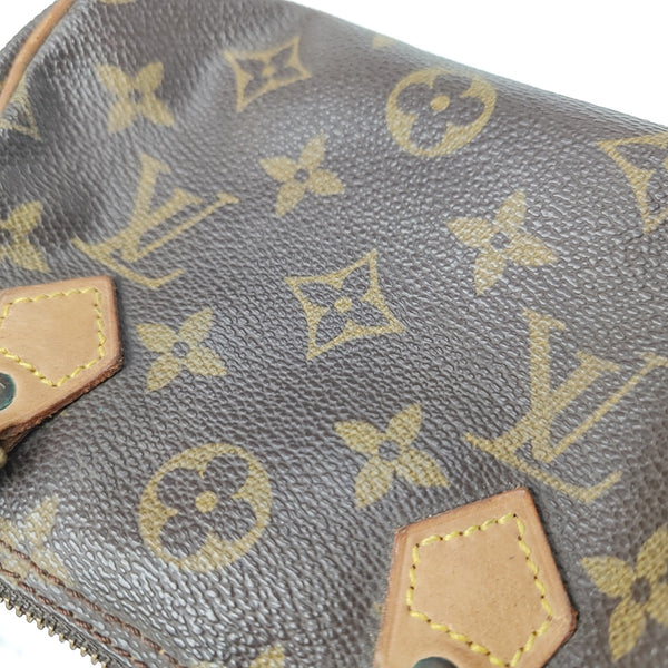 SPEEDY Nano Monogram Coated Canvas Brown