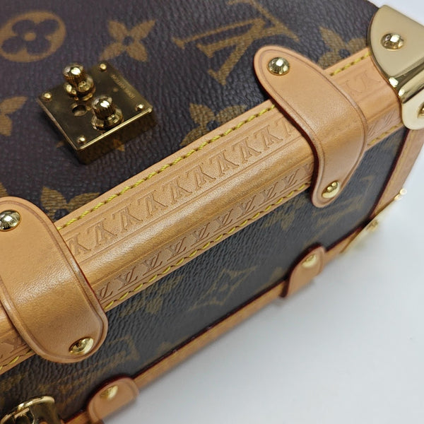 SIDE TRUNK MM Monogram Coated Canvas Brown