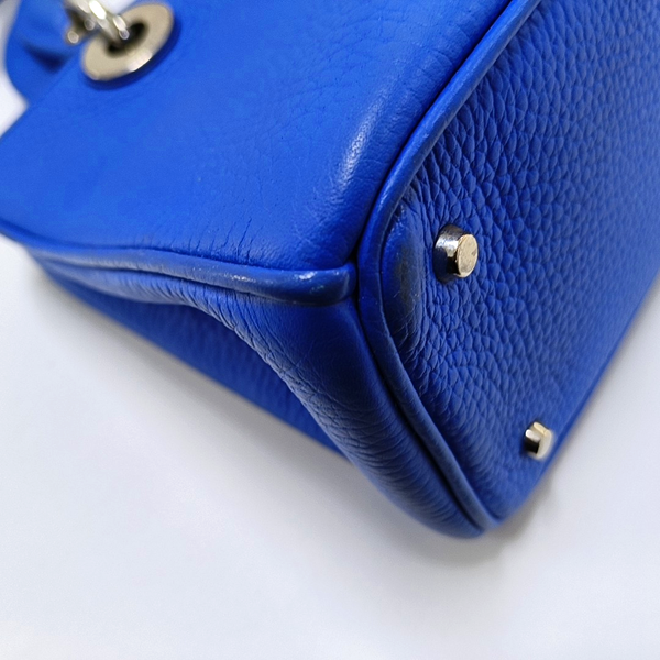 Authenticated pre-owned  Diorissimo Calfskin Blue - Tote Bag at Looply