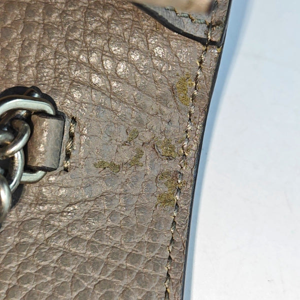Authenticated pre-owned  Dionysus Super Mini Calfskin Grey - Shoulder Bag at Looply