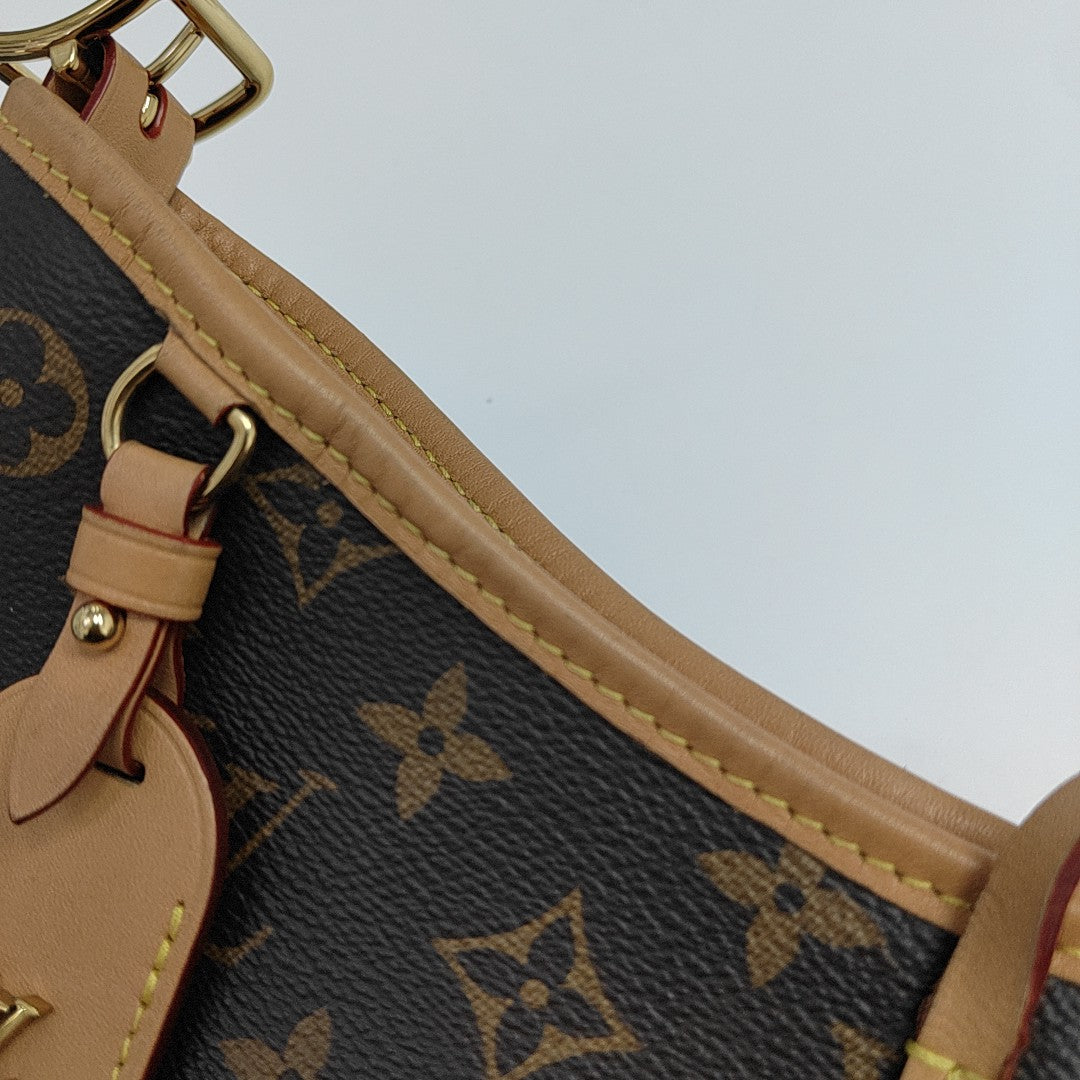 CARRYALL PM Monogram Coated Canvas Brown