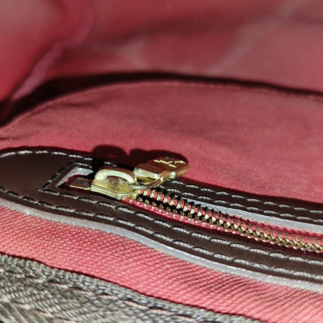 SPEEDY 25 Damier Ebene Coated Canvas Brown