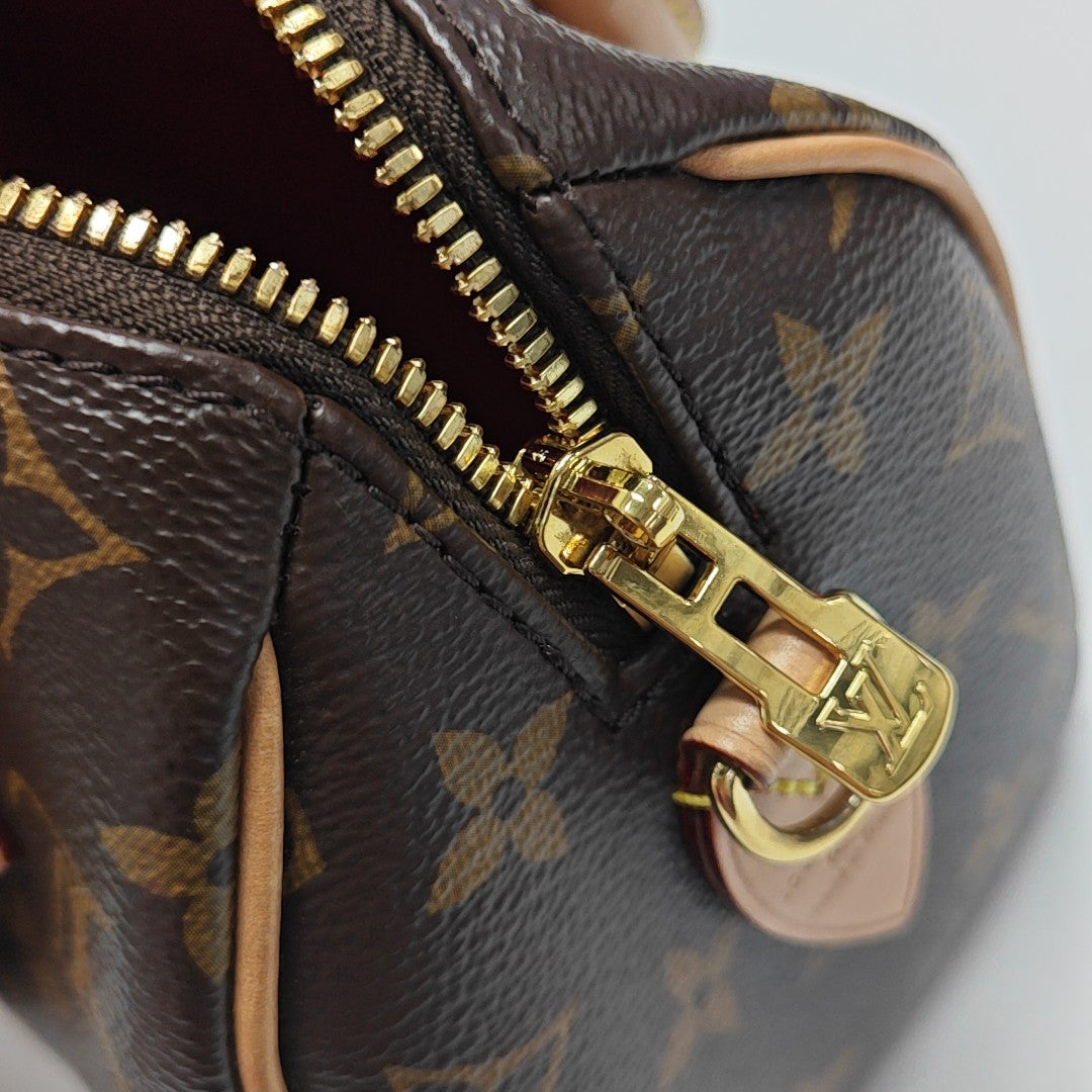 SPEEDY 20 Monogram Coated Canvas Brown